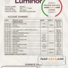 Estonia Luminor bank statement easy to fill template in .xls and .pdf file format