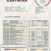 Estonia Luminor Bank proof of address bank statement template in Word and PDF format, .doc and .pdf format