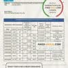 Fiji Bred bank statement template in Word and PDF format