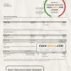 France Citibank bank statement template in .xls and .pdf file format