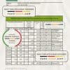 France Credite Agricole Bank statement Excel and PDF template