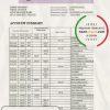 France Groupe BPCE bank statement easy to fill template in Excel and PDF format