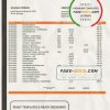 Georgia Bank of Georgia proof of address statement template in Word and PDF format, fully editable