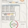 Georgia Telasi utility bill template in Word and PDF format, fully editable