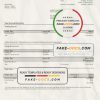 Germany Citibank bank account statement template in Word and PDF format