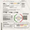 Germany E.ON Energie electricity utility bill template in Word and PDF format