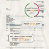 Germany Volksbank Jever statement template in Word and PDF format