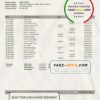 Greece Alpha bank statement template in Word and PDF format