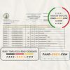 Guatemala Banco de Guatemala bank statement easy to fill template in Excel and PDF format