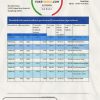 Hong Kong Citibank proof of address bank statement template in Excel and PDF format