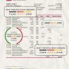 Hong Kong DAH Sing bank statement Excel and PDF template