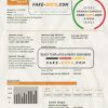 Hong Kong Energy Ltd utility bill template in Word and PDF format