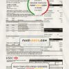 Hong Kong HSBC bank Visa Platinum credit card statement template in .xls and .pdf file format