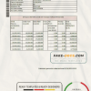 Hong Kong Scotiabank bank statement easy to fill template in Excel and PDF format
