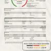 Hong Kong Citibank credit card statement template in .xls and .pdf file format