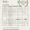Hungary OTP Bank statement template in Word and PDF format