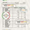 Hungary OTP bank statement Excel and PDF template