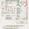India Mahavitaran Co Ltd utility bill template in Word and PDF format