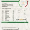 India Punjab National Bank statement Word and PDF template, 2 pages