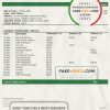 India Punjab and Sind Bank statement template in Word and PDF format