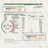 India Punjab and Sind bank statement Excel and PDF template