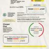Indonesia PLN electricity utility bill template in Word and PDF format
