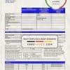 Iran National Iranian Gas Company gas utility bill template in Word and PDF format
