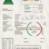 Iraq AlRasikh electricity utility bill template in Word and PDF format