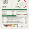 Iraq Rafidain bank statement easy to fill template in Word and PDF format