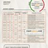 Iraq Rafidain proof of address bank statement in Word and PDF format