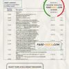 Ireland Bank of Ireland Bank statement template in Word and PDF format