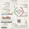 Israel Electric Corporation utility bill template in Word and PDF format (.doc and .pdf)