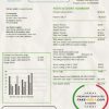 Israel Green Energy Association of Israel utility bill template in Word and PDF format (doc)
