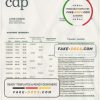 Italy Cassa Depositi e Prestiti bank statement template in Word and PDF format, fully editable