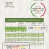 Italy Citibank statement template in .doc and .pdf format, fully editable