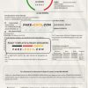 Italy Linea Italia utility bill template in Word and PDF format