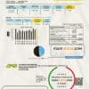 Jamaica Public Service Company Limited (JPS) electricity utility bill template in Word and PDF format