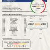 Japan Mizuho Bank statement template in Word and PDF format, good for address prove