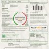 Japan S-Energy Japan Co. Ltd. Tokyo Branch utility bill template in Word and PDF format