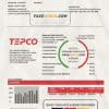 Japan Tokyo Electric Power Company (TEPCO) electricity utility bill template in Word and PDF format