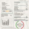 Kazakhstan Yokogawa Electric Kazakhstan utility bill template in Word and PDF format (.doc and .pdf)