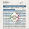 Kenya Citibank bank statement template in Word and PDF format