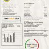 Laos Electricite du Laos electricity utility bill template in Word and PDF format