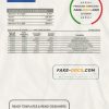 Laos Lao Viet bank statement template, Word and PDF format (.doc and .pdf)