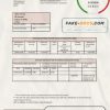 Latvia Citadele bank statement template, Word and PDF format (.doc and .pdf)