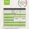 Latvia SEB bank statement template, Word and PDF format (.doc and .pdf)