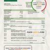 Lesotho Nedbaank Bank statement template in Word and PDF format