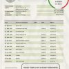 Liberia Central Bank of Liberia bank statement template in Word and PDF format