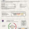 Libya General Electric Company electricity utility bill template in Word and PDF format