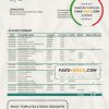 Lithuania (Litva) DNB bank statement template in Word and PDF format